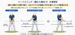 ハーフスイング腰から腰まで地面と平行