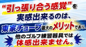 東家チューブ最大のメリット